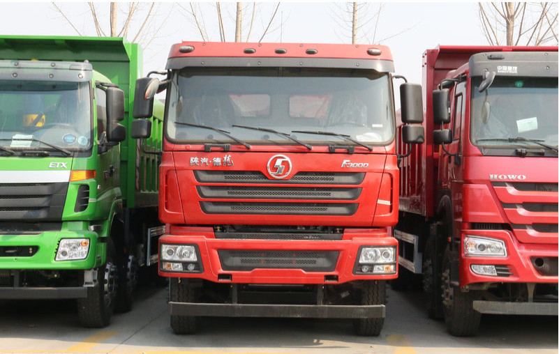 25 متر مكعب دلو ديزل شاحنة قلابة 15 طن تحميل Euro II 8x4 الأيمن محرك Rhd قلابة 430hp