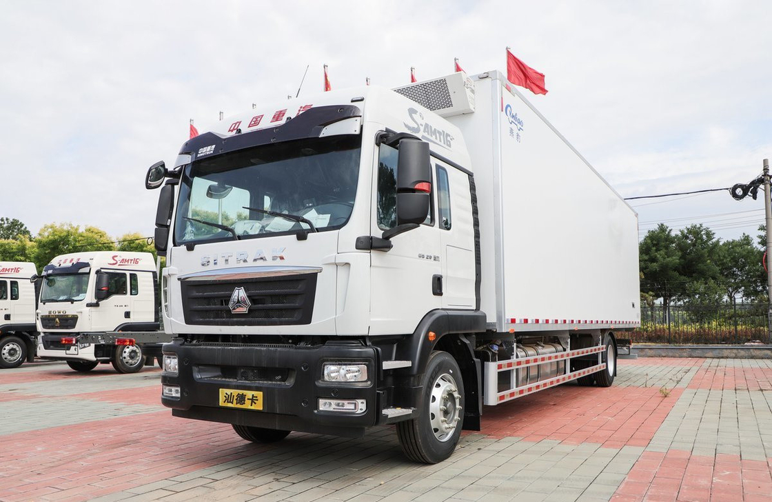 ثلاجة التبريد شاحنة فان سينوتريك 4 * 2 وضع القيادة 9.5 متر مربع طويل SITRAK 290hp