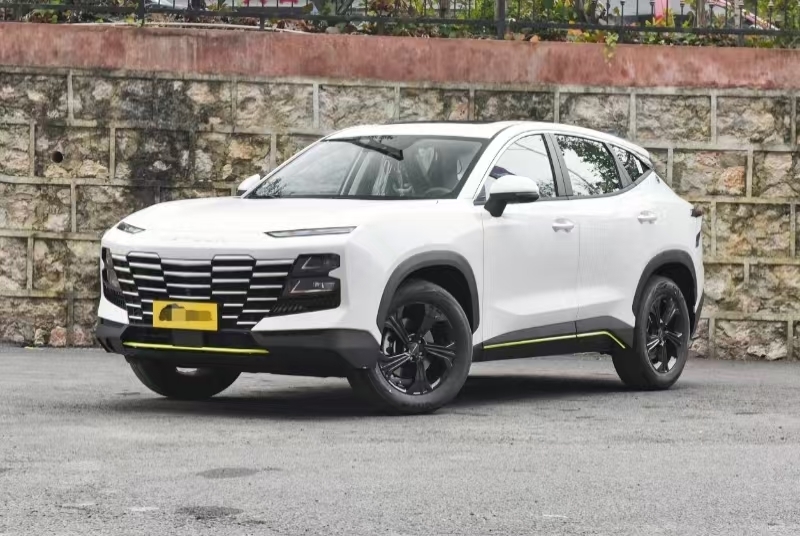 شيري جيتور داشينغ الجديدة 2025 سيارة بنزين 4WD متينة وقوية وسيارة مثالية مع لون مخصص