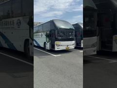 حافلة يوتونج